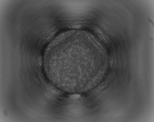 X0000091510374200709070959