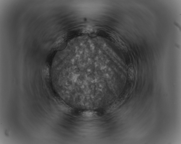 X0000091510375200709070959