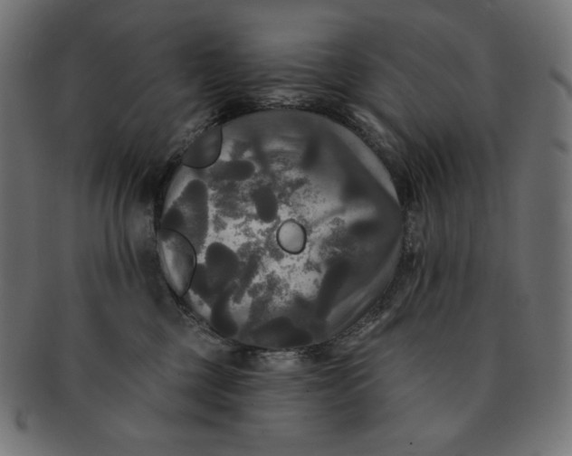 X0000091510377200709070959