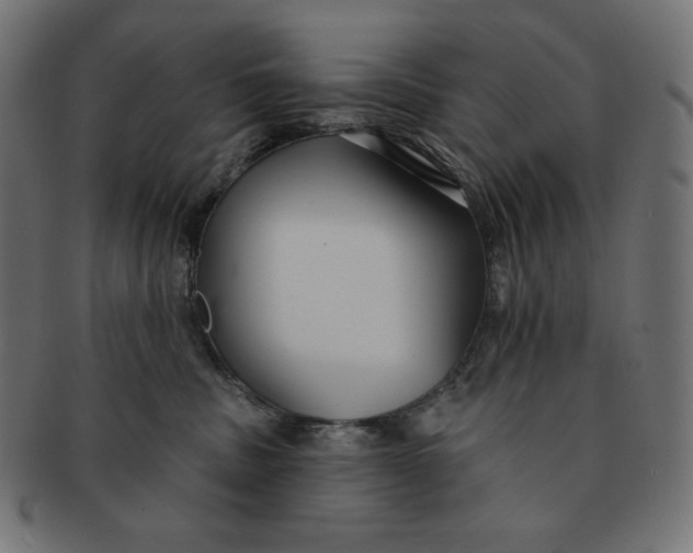 X0000091510379200709070959