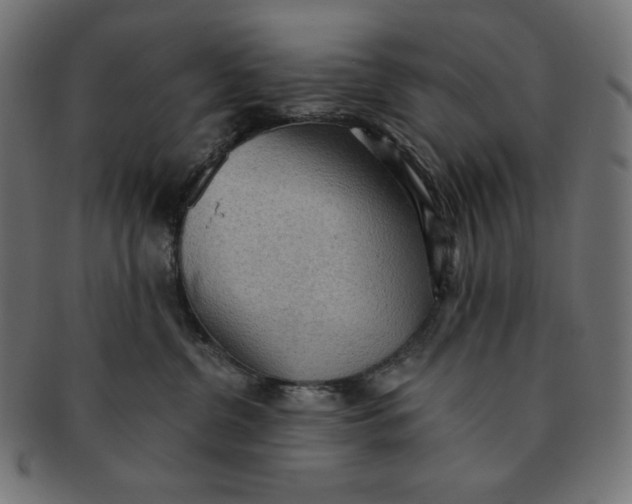 X0000091510380200709070959