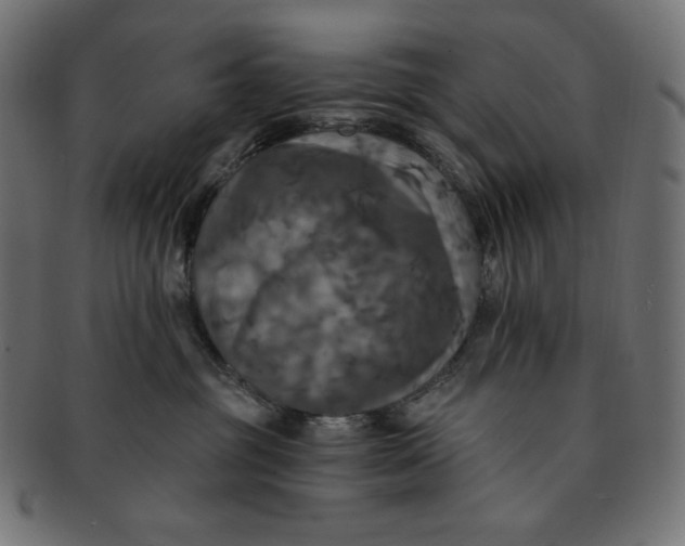 X0000091510381200709070959