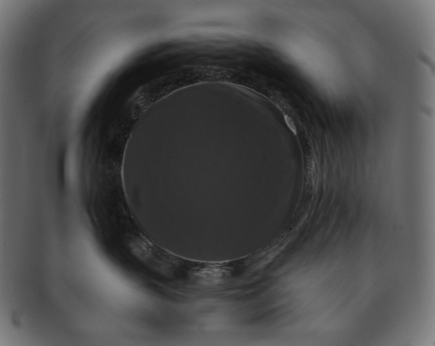 X0000091510383200709070959