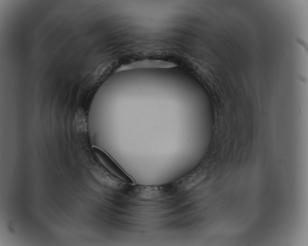 X0000091510384200709070959