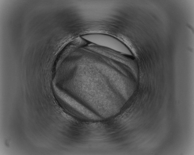 X0000091510385200709070959