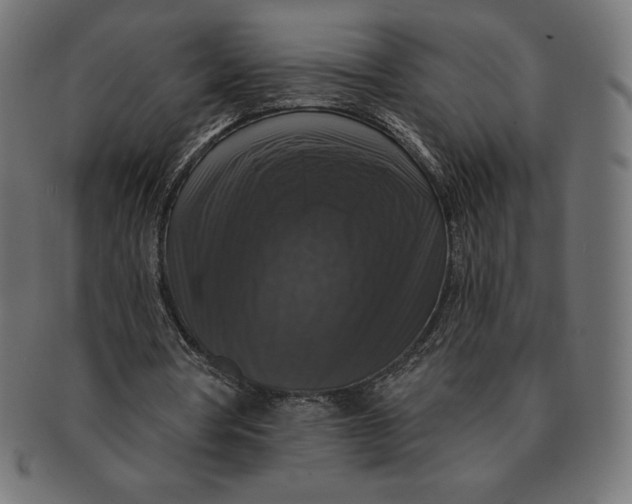 X0000091510386200709070959