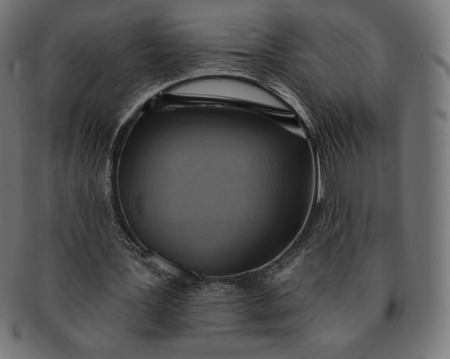 X0000091510387200709070959