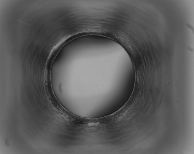 X0000091510388200709070959