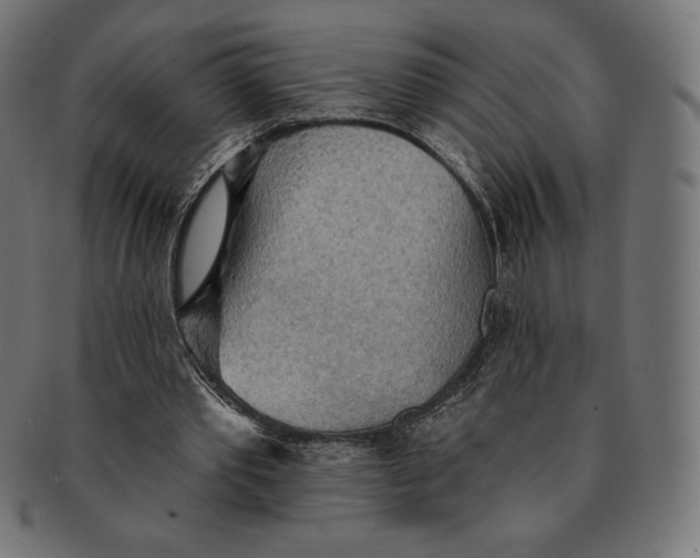 X0000091510389200709070959