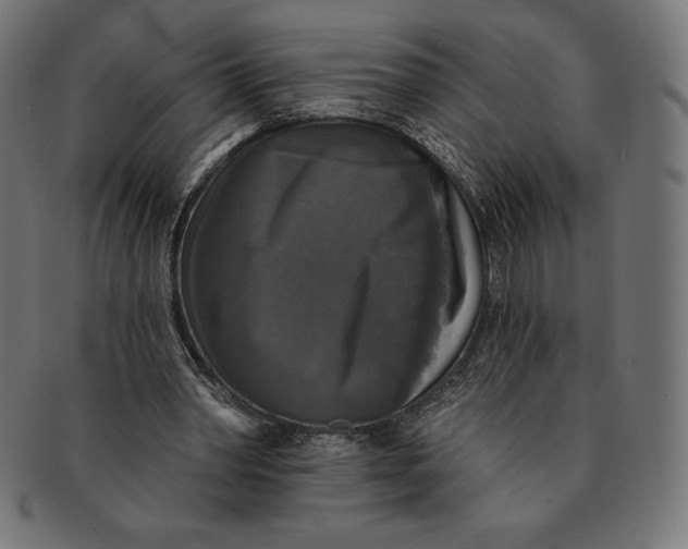 X0000091510390200709070959