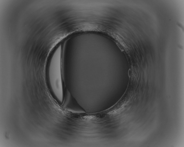 X0000091510391200709070959