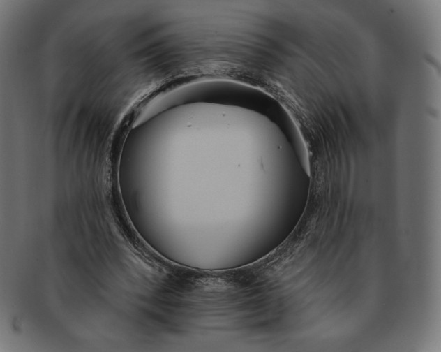 X0000091510392200709070959