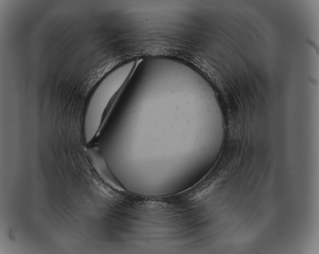 X0000091510393200709070959