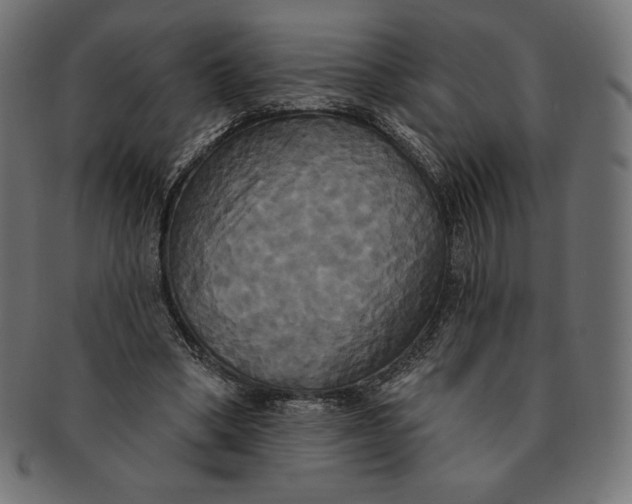 X0000091510394200709070959