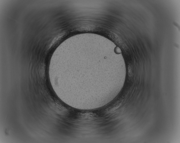 X0000091510396200709070959