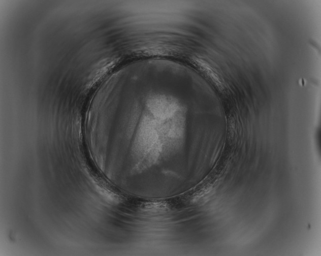 X0000091510398200709070958