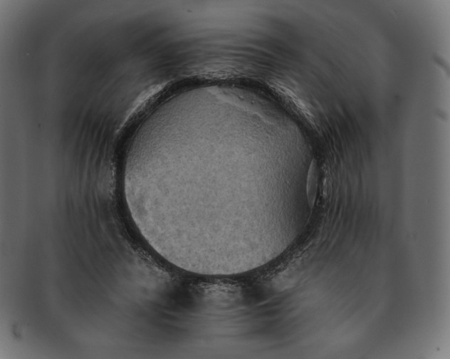 X0000091510400200709070958