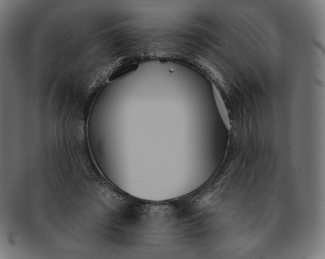 X0000091510401200709070958