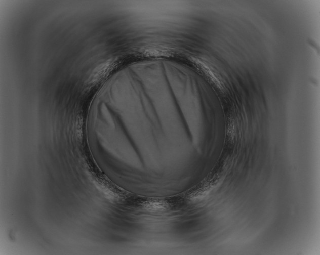 X0000091510402200709070958