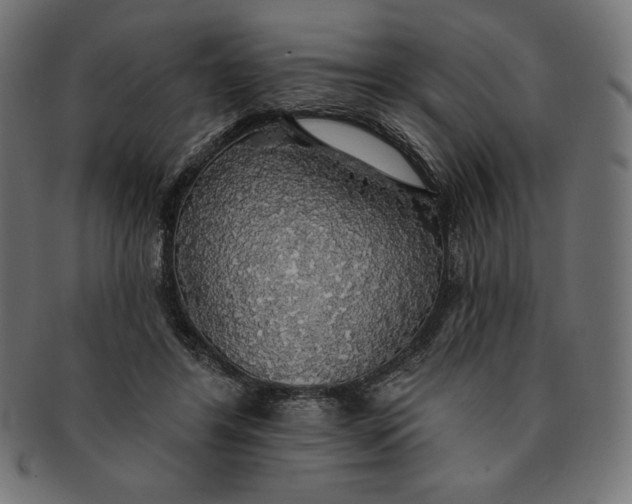 X0000091510404200709070958