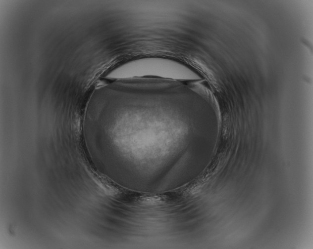 X0000091510405200709070958