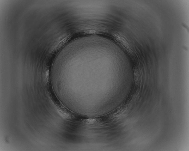 X0000091510406200709070958