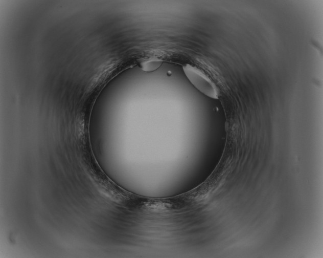 X0000091510407200709070958