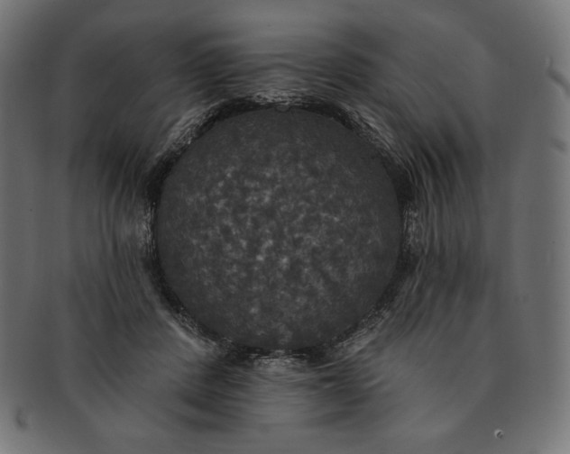 X0000091510408200709070958