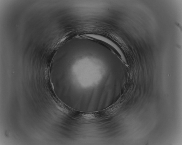 X0000091510409200709070958