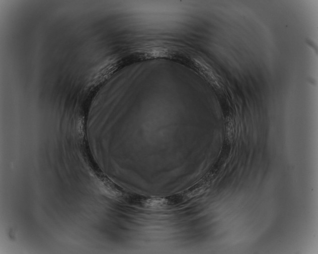 X0000091510410200709070958