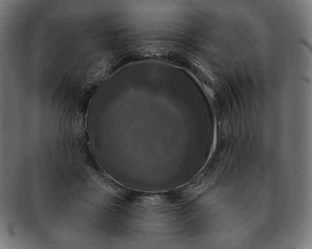 X0000091510411200709070958