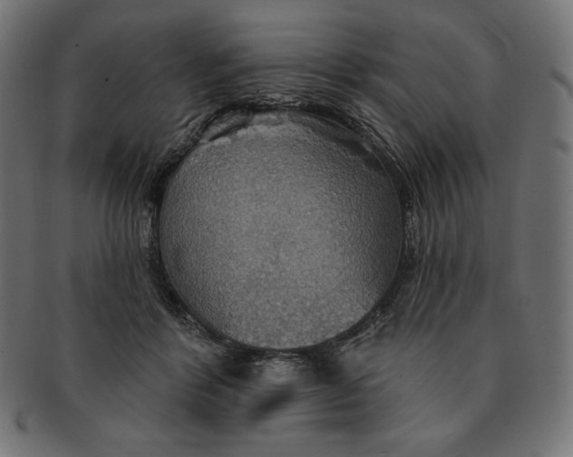 X0000091510412200709070958