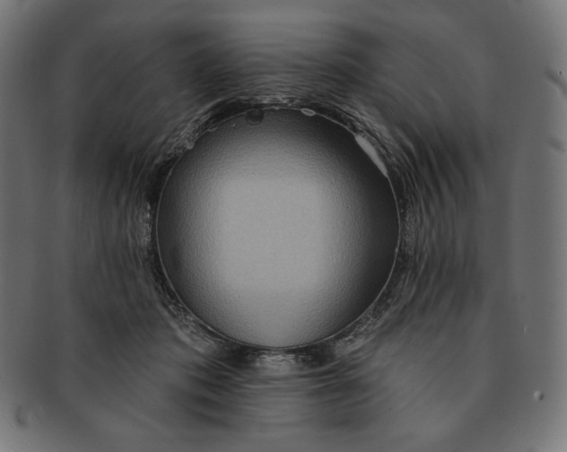 X0000091510413200709070958