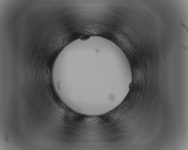 X0000091510414200709070958