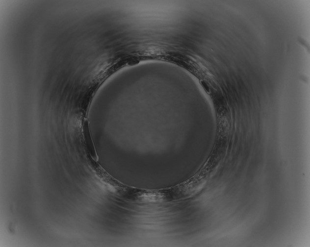 X0000091510415200709070958