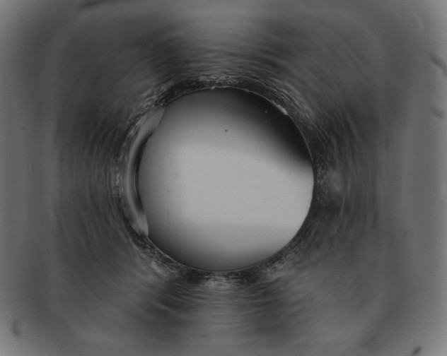 X0000091510416200709070958