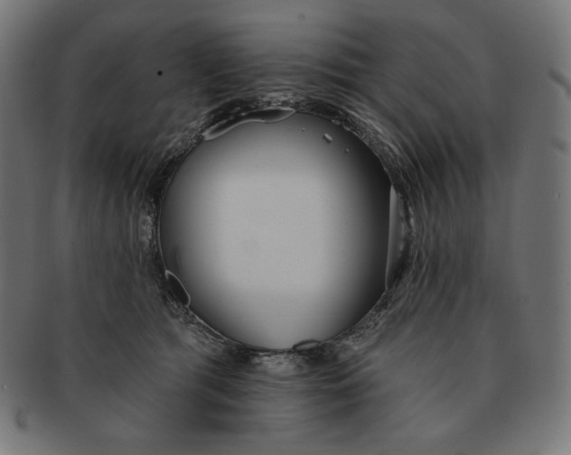 X0000091510417200709070958