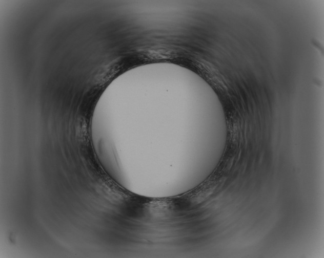 X0000091510418200709070958