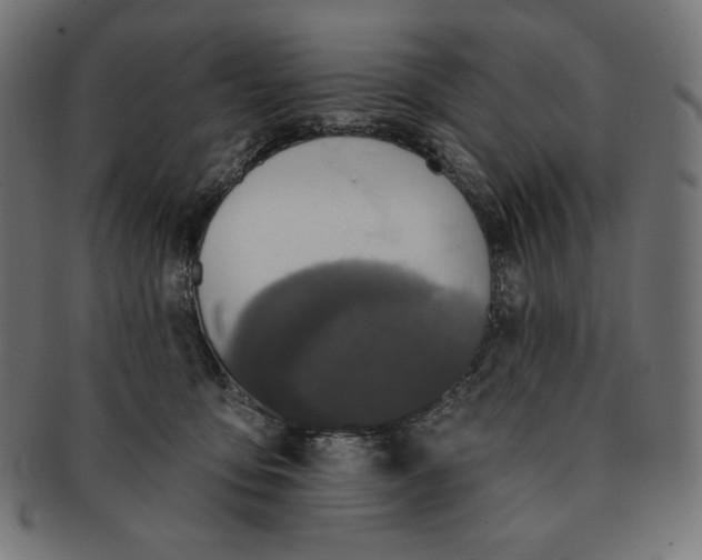 X0000091510419200709070958