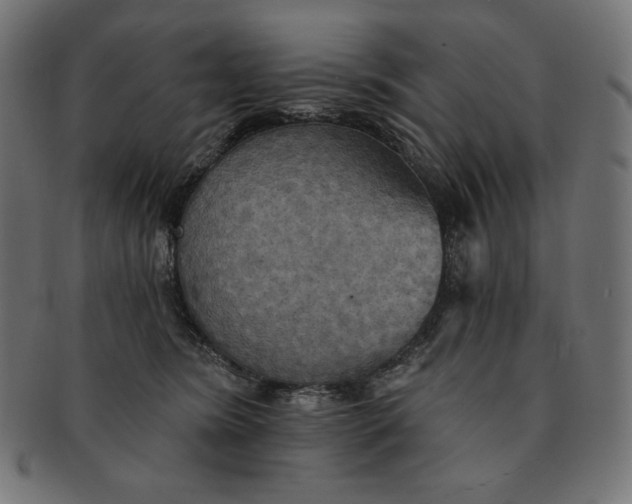 X0000091510420200709070958