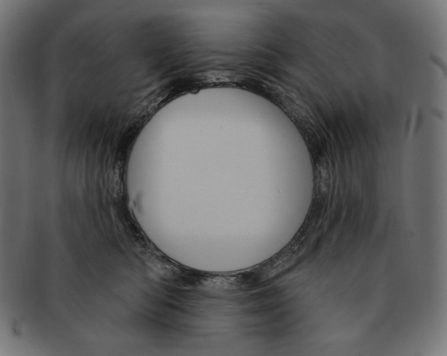 X0000091510422200709070958