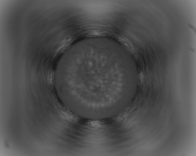 X0000091510423200709070958