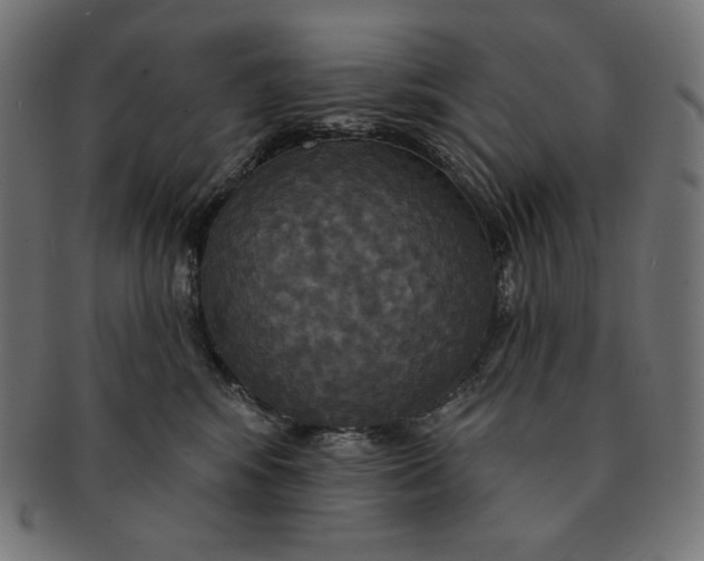 X0000091510424200709070958