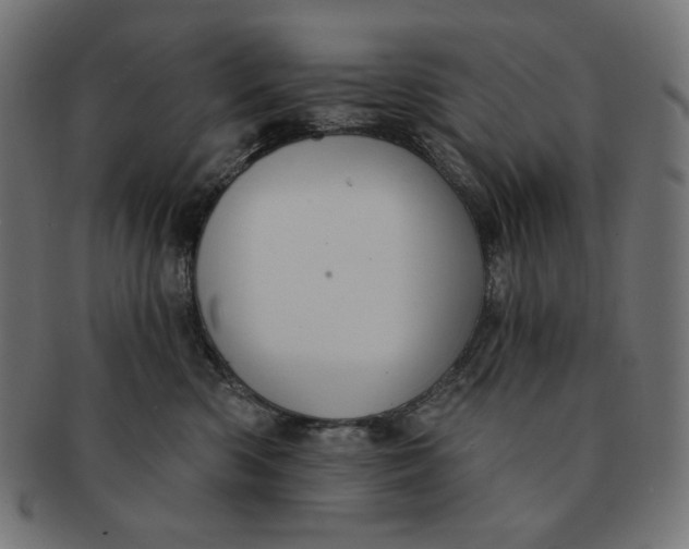 X0000091510426200709070958