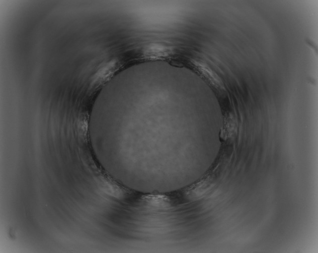 X0000091510427200709070958