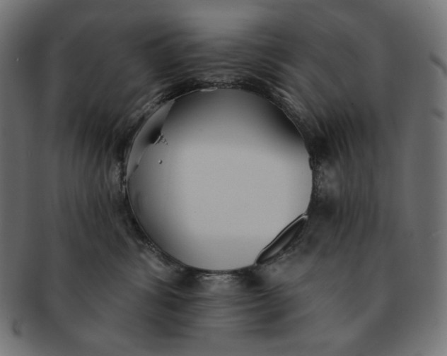 X0000091510428200709070958