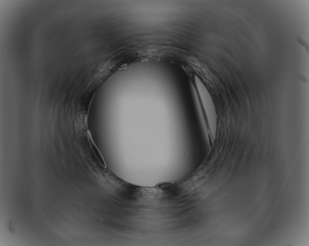 X0000091510429200709070958