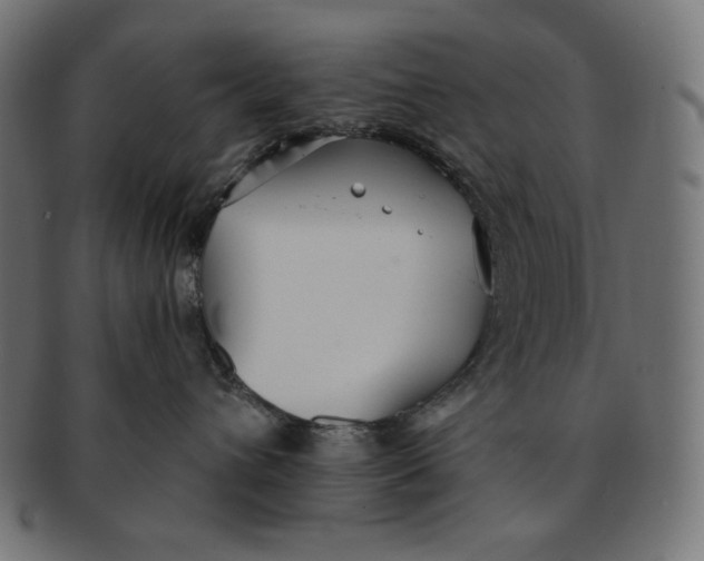 X0000091510432200709070958