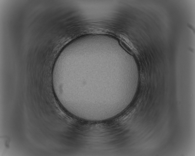 X0000091510433200709070957