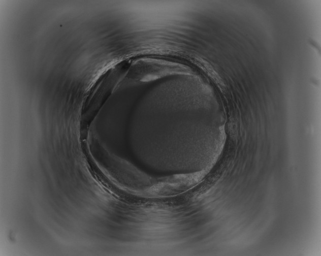 X0000091510434200709070957